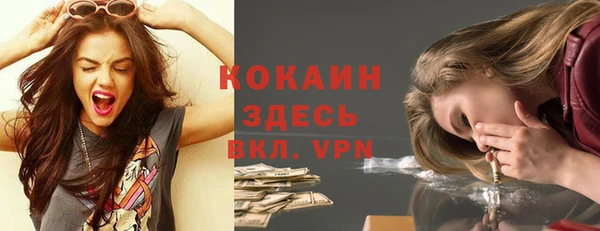 шишки Нея