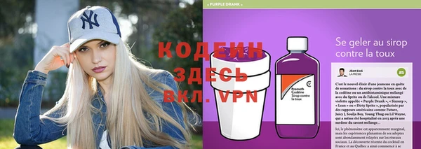 сатива Новодвинск