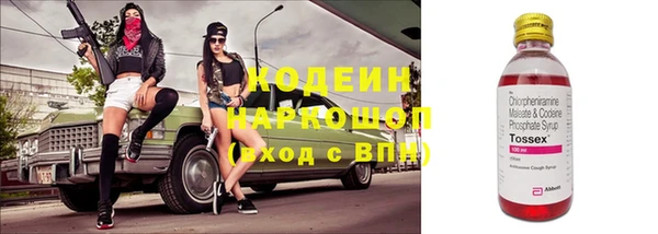шишки Нея