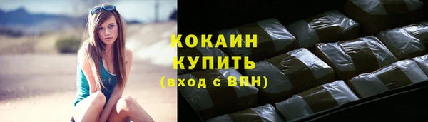 шишки Нея