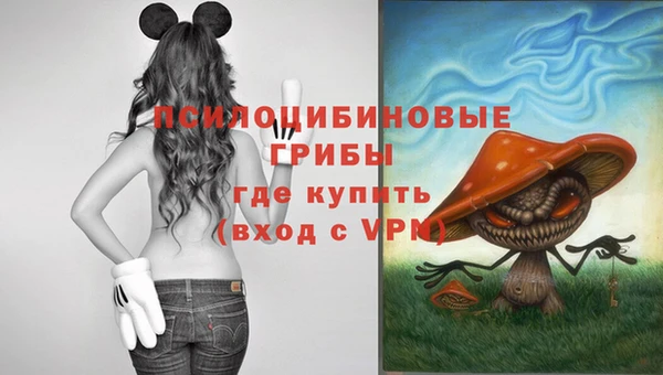 СК Ветлуга