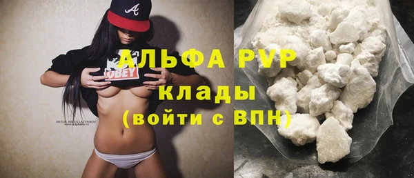 шишки Нея