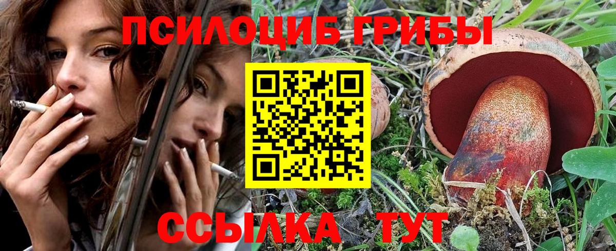 Псилоцибиновые грибы Psilocybe Истра