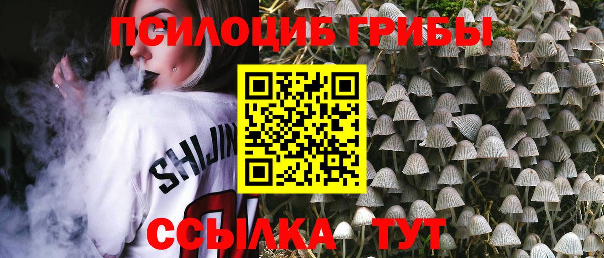 Галлюциногенные грибы Magic Shrooms  Истра 
