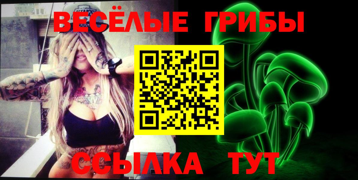 Истра  Галлюциногенные грибы прущие грибы  Вход с VPN  Псилоцибиновые грибы Psilocybe 